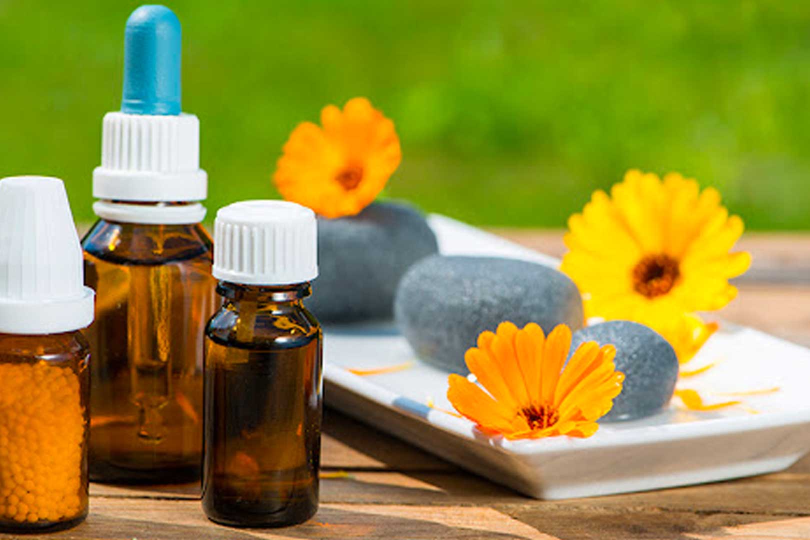 Productos homotoxologicos guatemala