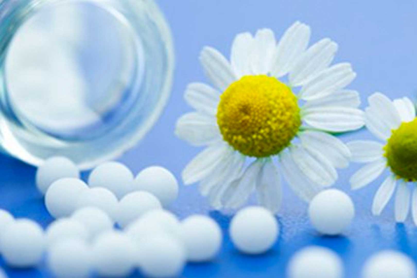 Productos homotoxologicos guatemala